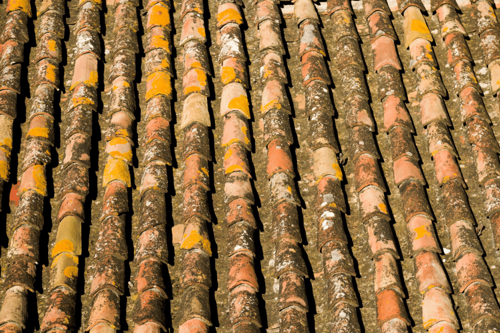 En närbild av ett tak i behov av rengöring och underhåll